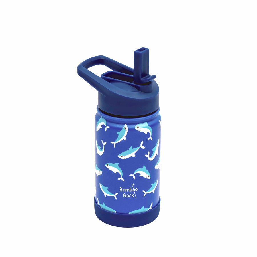 stainless steel water bottle