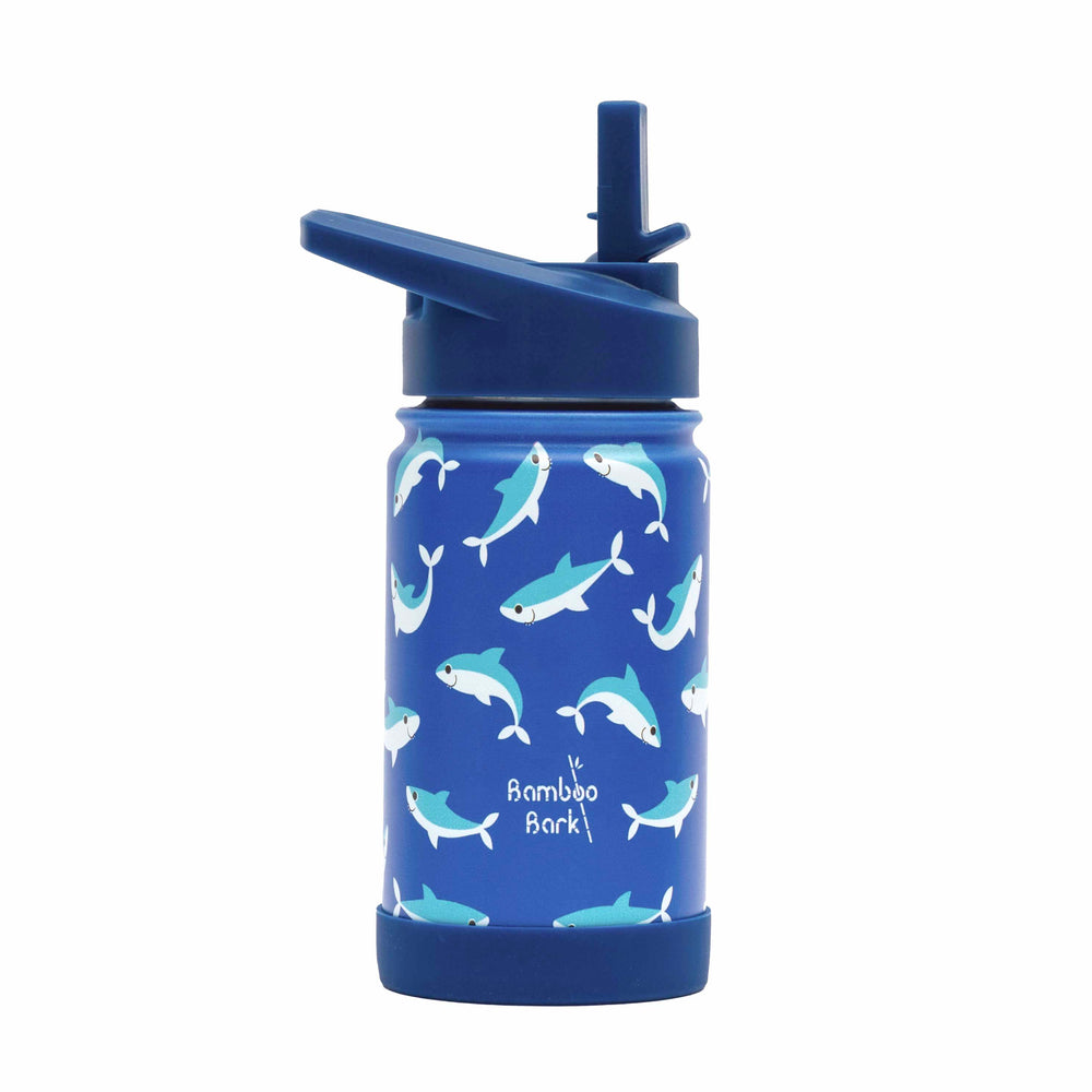 stainless steel water bottle